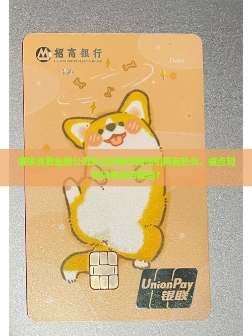 消费金融发的催收短信是哪家的公司