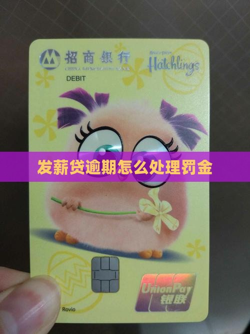 发薪贷逾期罚金怎么处理呢