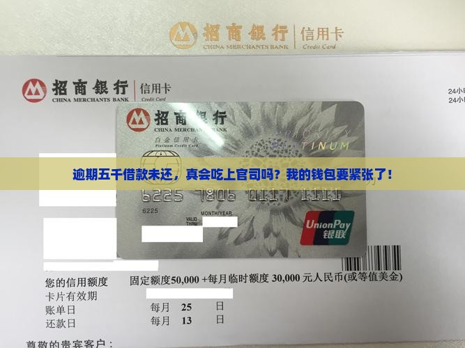 放心借逾期五千未还会被起诉吗