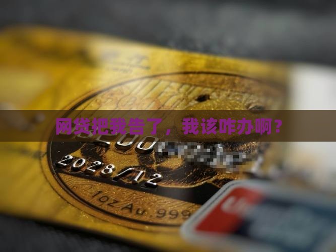 网贷起诉我了我怎么办才好