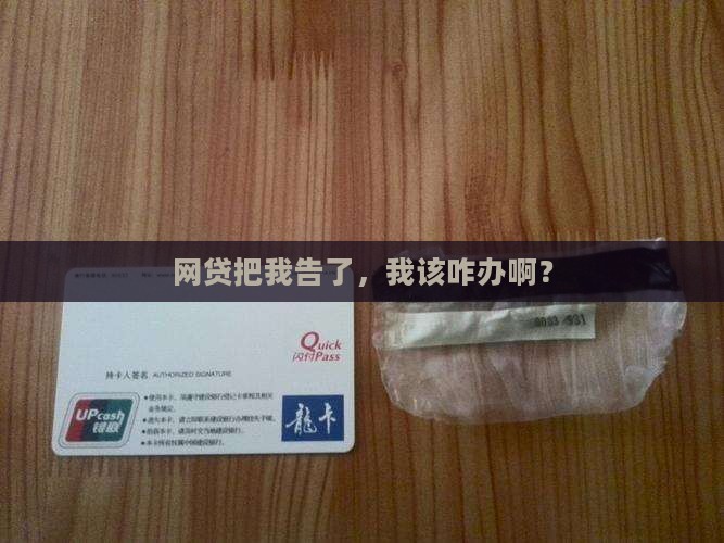 网贷起诉我了我怎么办才好
