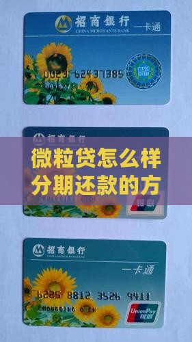 微粒贷怎么样分期还款的方法及流程