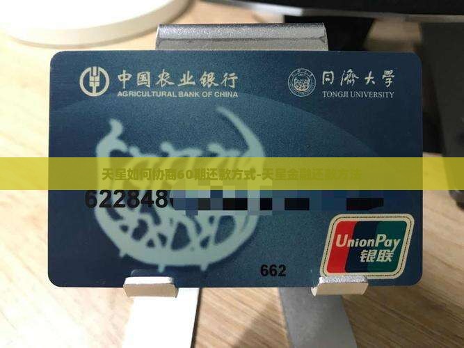 天星如何协商60期还款方式