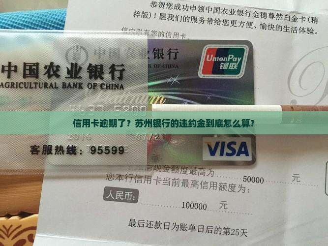 苏州银行信用卡逾期违约金怎么计算