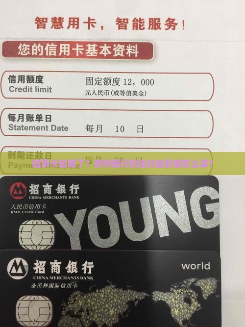 苏州银行信用卡逾期违约金怎么计算
