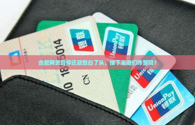 合肥网贷停息挂账怎么处理