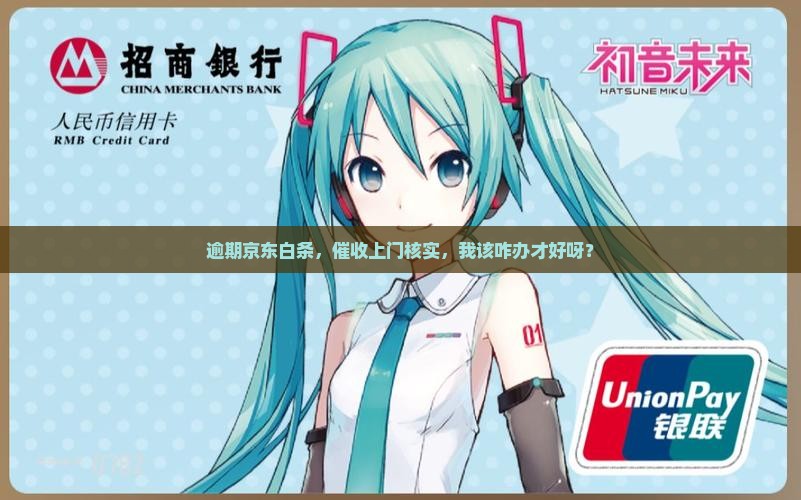 京东白条逾期上门核实情况怎么办