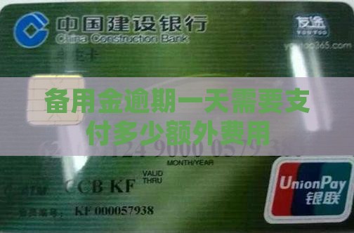 备用金超一天需要支付多少额外费用