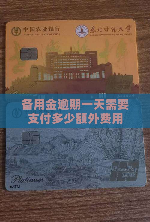 备用金超一天需要支付多少额外费用