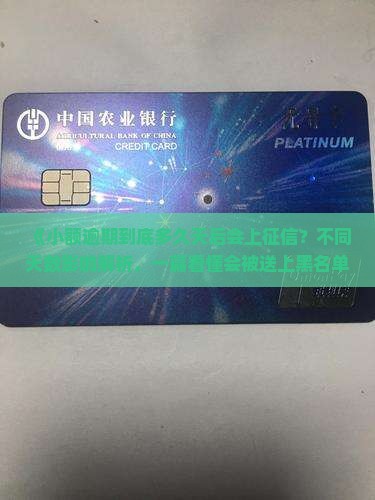 小额逾期多久会上征信