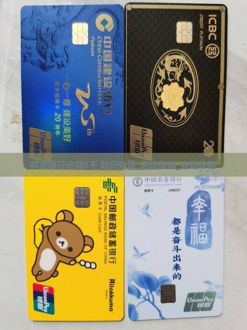 农业银行逾期5千如何处理