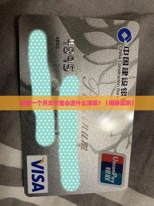 逾期一个月支付宝会怎样处理