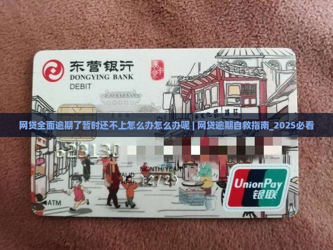 网贷全面逾期了暂时还不上怎么办怎么办呢