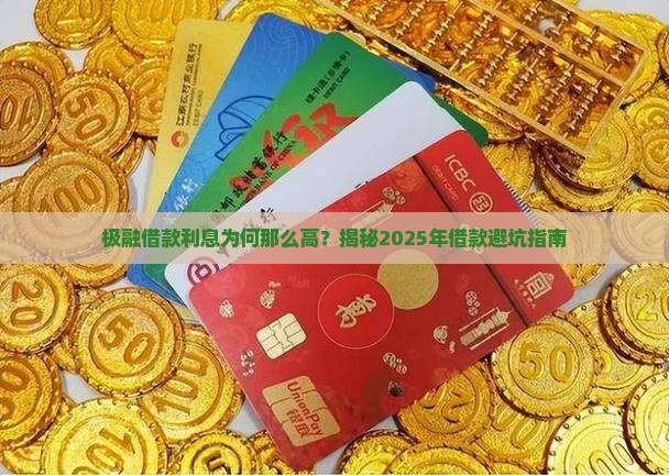 极融借款利息为何那么高