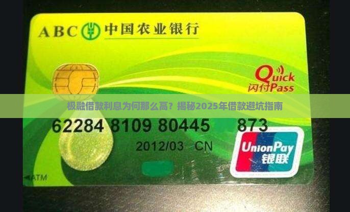 极融借款利息为何那么高