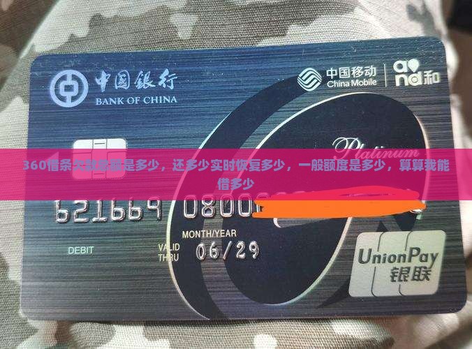 360借条欠款总额是多少