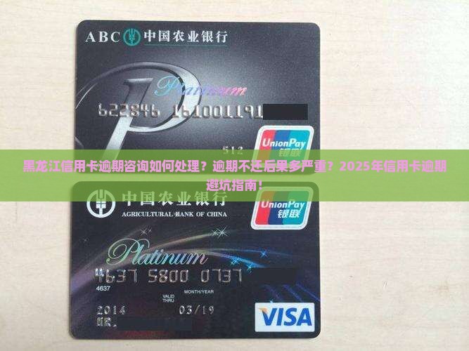 黑龙江信用卡逾期咨询如何处理