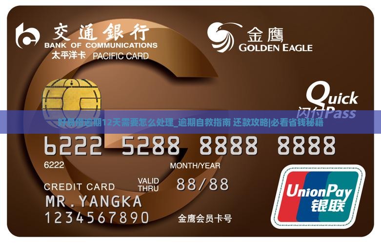 好易借逾期12天需要怎么处理 好易借逾期12天需要怎么处理