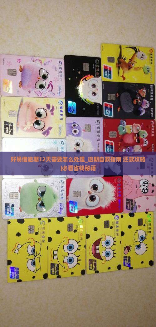 好易借逾期12天需要怎么处理 好易借逾期12天需要怎么处理