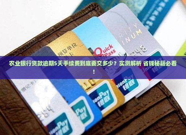 农业银行贷款逾期5天手续费需要交多少