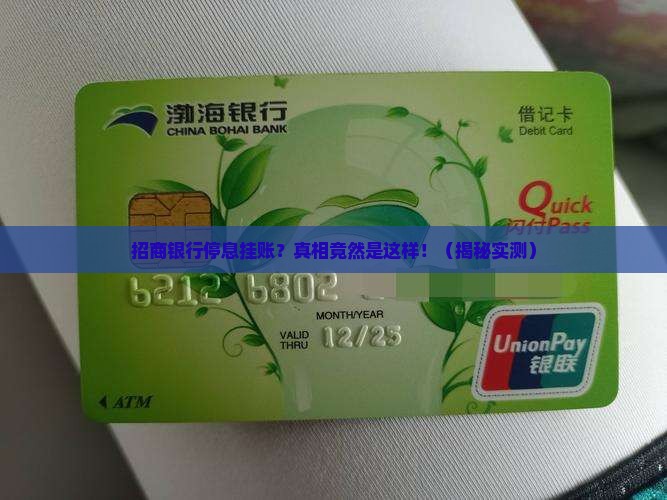 招商银行停息挂账案例分析