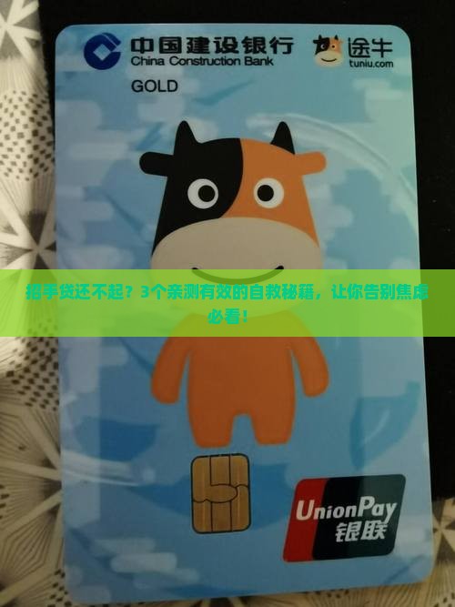 招手贷无力还款怎么办才好