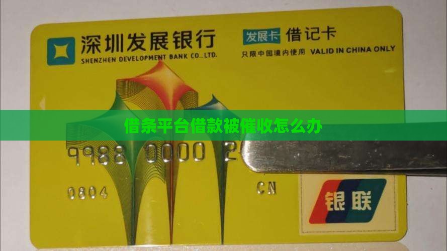 借条平台借款被催收怎么办