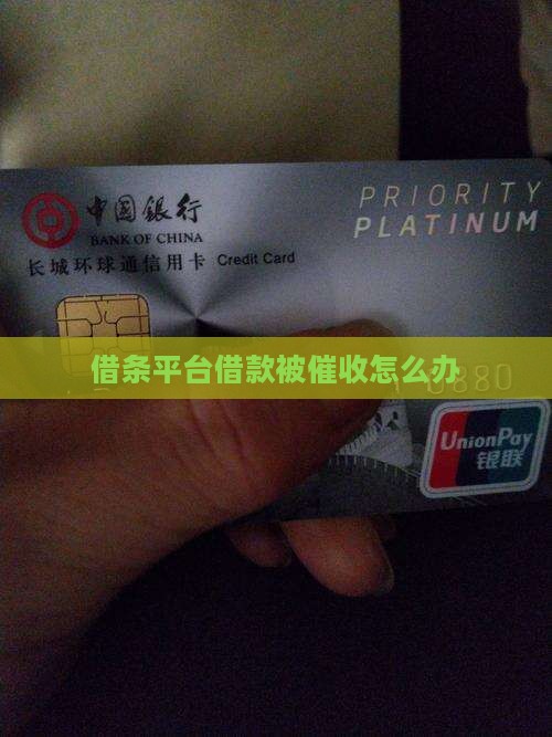 借条平台借款被催收怎么办