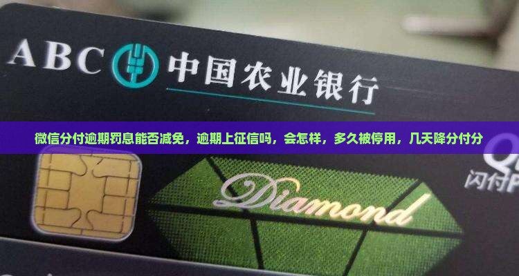 微信分付逾期罚息能否减免