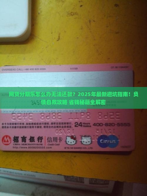 网贷分期乐怎么办无法还款