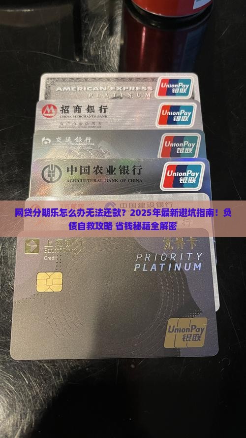 网贷分期乐怎么办无法还款