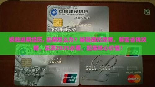 极融逾期经历