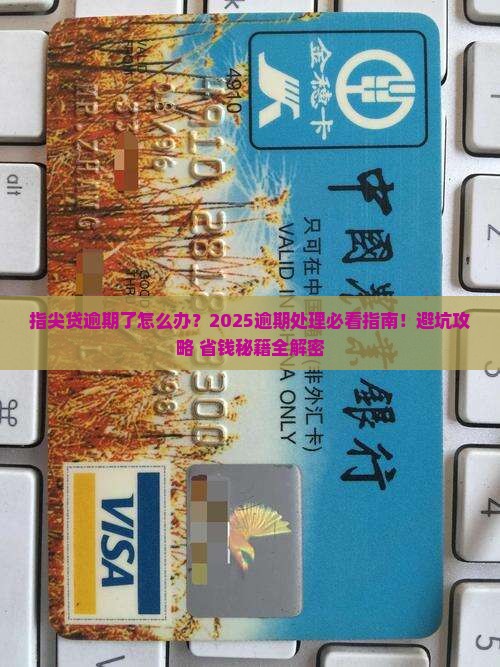 指尖贷逾期处理方法及注意事项