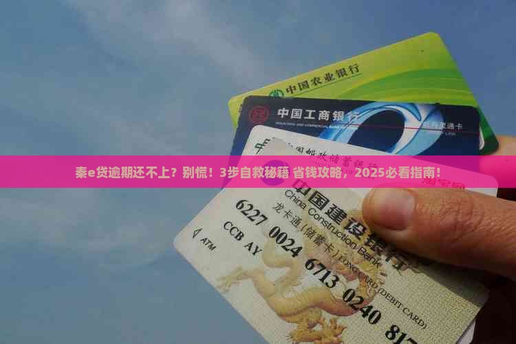 秦e贷逾期了还不上咋办