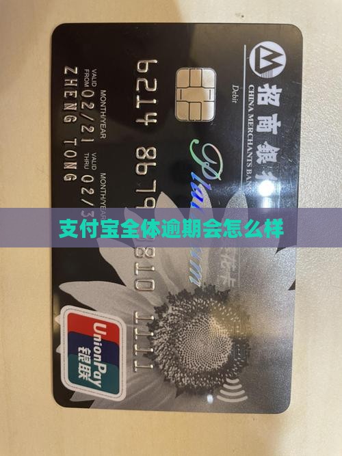 支付宝全体不还会怎么样