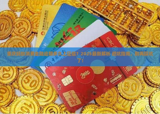 重庆蚂蚁消费金融逾期多久上征信