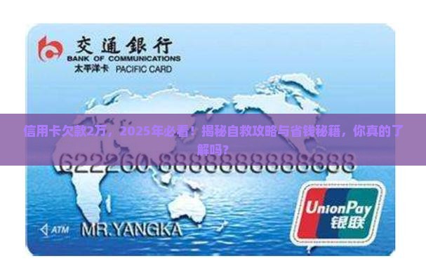 信用卡欠款2万无力偿还