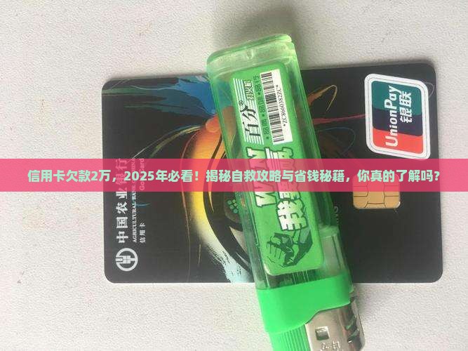 信用卡欠款2万无力偿还