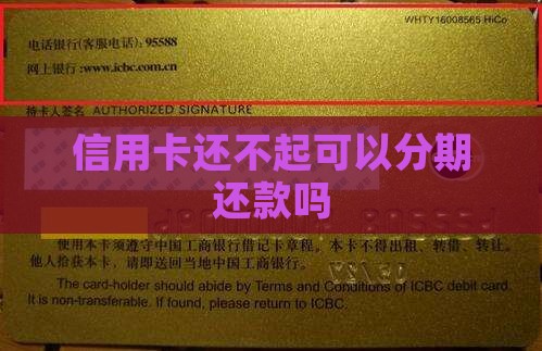 信用卡还不起可以分期吗