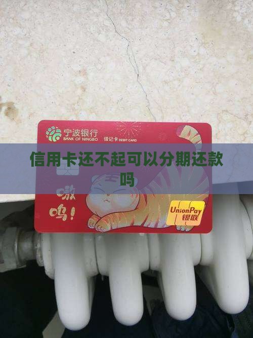 信用卡还不起可以分期吗