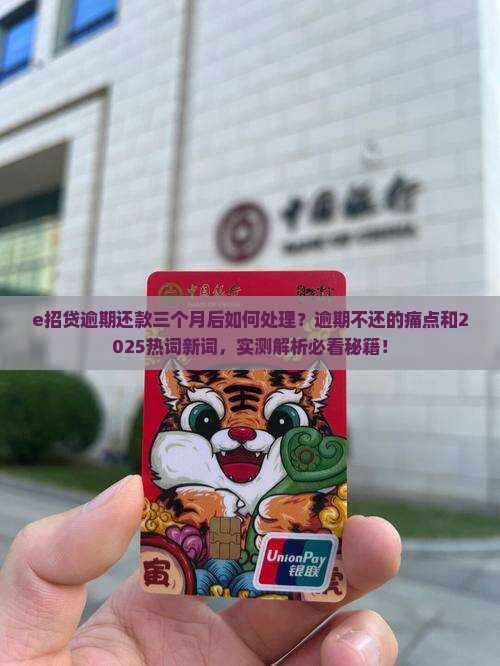 e招贷逾期还款三个月后如何处理