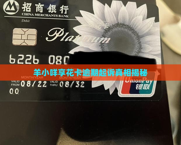 羊小咩享花卡逾期诉讼真相揭秘