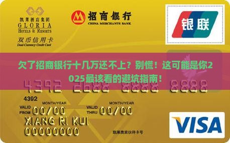 欠招商银行十几万还不上怎么办