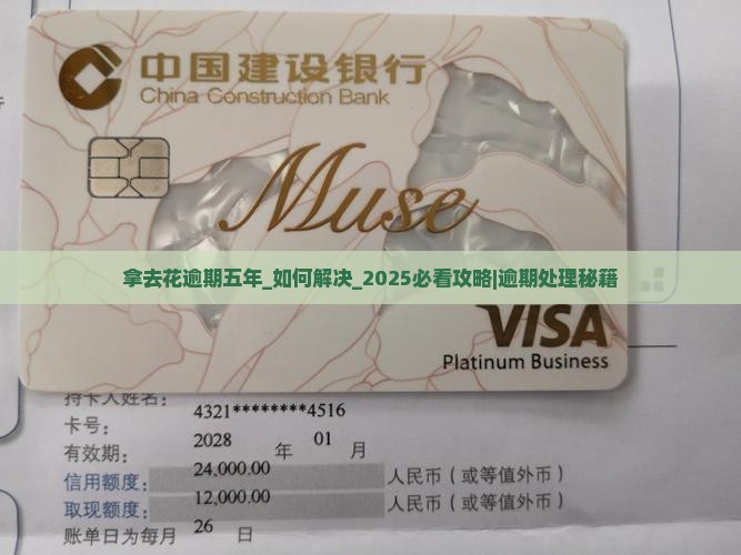 拿去花逾期五年