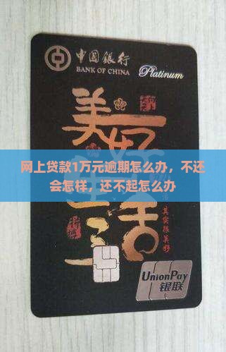 网上贷款1万元逾期怎么办