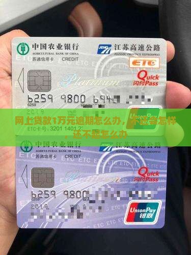 网上贷款1万元逾期怎么办