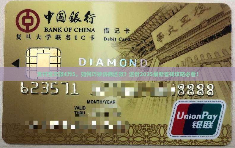 支付宝欠款4万5能否协商还款方式