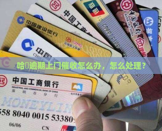 哈啰逾期上门催收怎么办理