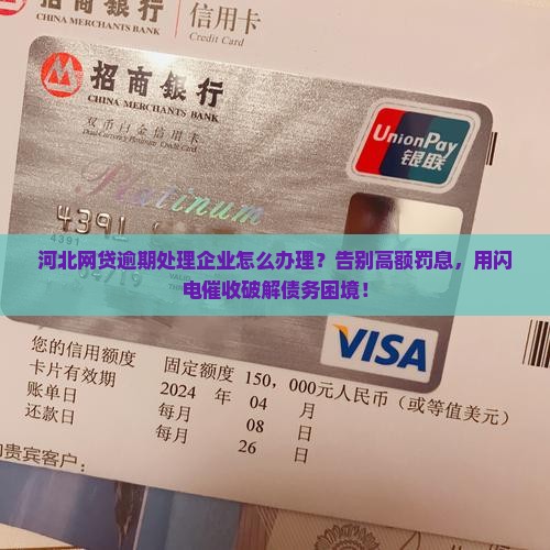 河北网贷逾期处理企业应该怎么办理 河北网贷逾期处理企业应该怎么办理
