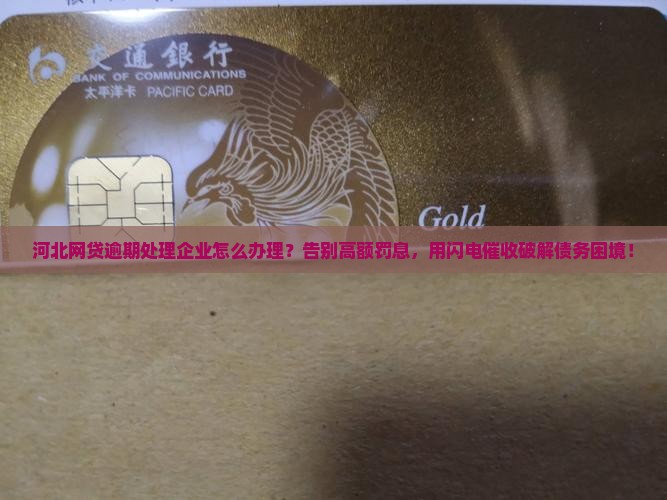河北网贷逾期处理企业应该怎么办理 河北网贷逾期处理企业应该怎么办理